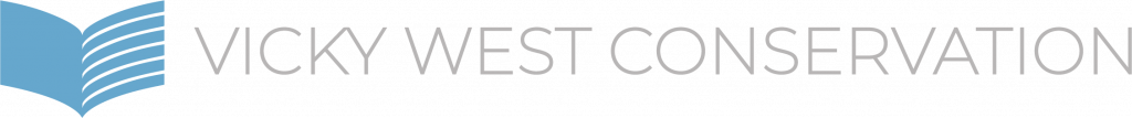 Asset 27 - PNG